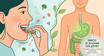 Prečo je žuvanie dôležité – ilustrácia trávenia 